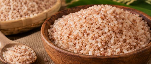 Padinjakkara Annam Palakkadan Unda Matta Rice: Kerala's Heritage Grain on Your Plate