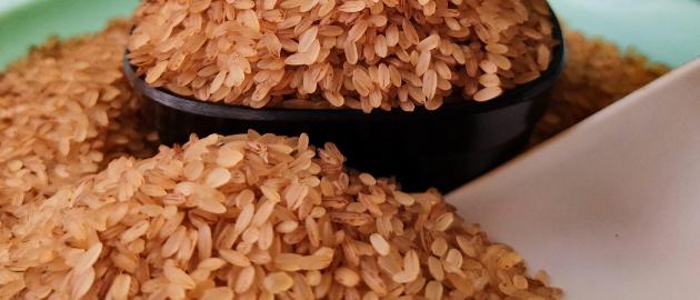 Padinjakkara Annam Palakkadan Single Matta Rice: The Simple, Wholesome Red Rice of Kerala